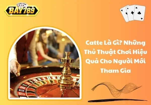 Catte là gì